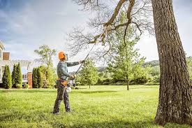 Seasonal Cleanup (Spring/Fall) in Laurel Hill, NC